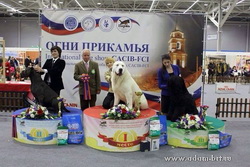 World Dog Show rank CACIB